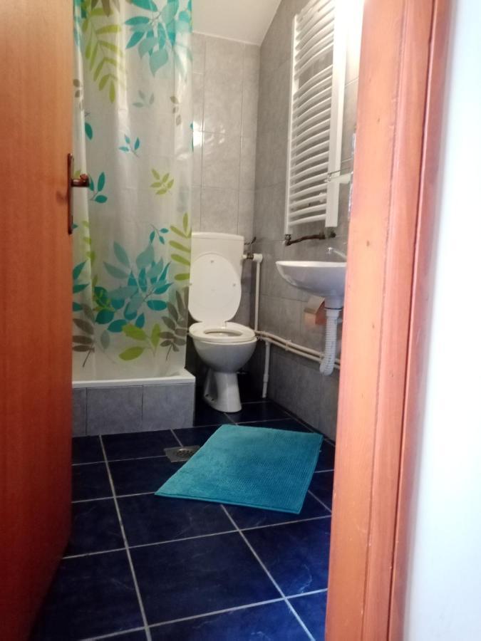 Apartments Dobra Vila ズラティボール エクステリア 写真