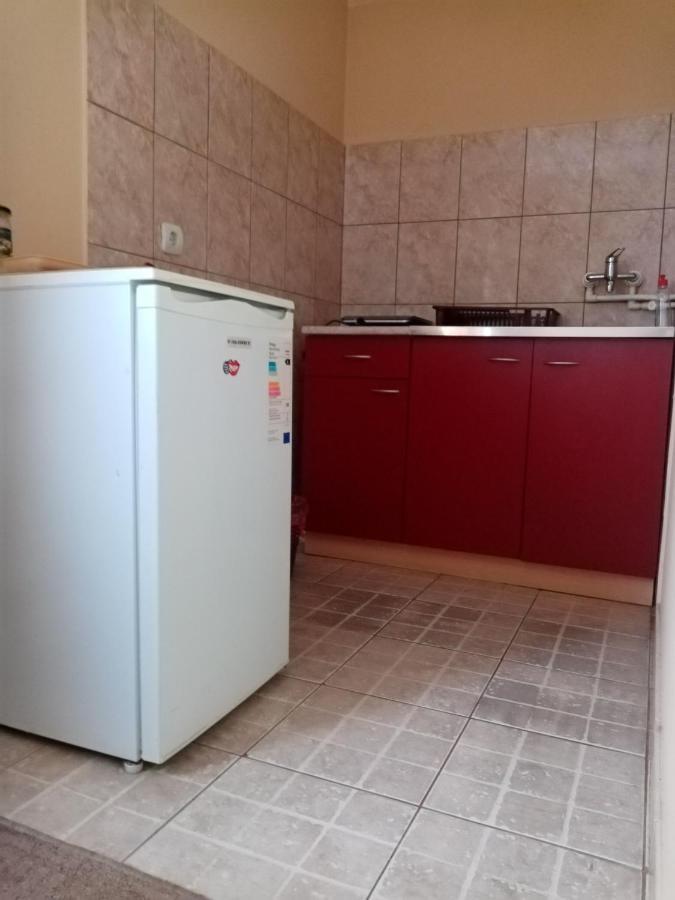 Apartments Dobra Vila ズラティボール エクステリア 写真